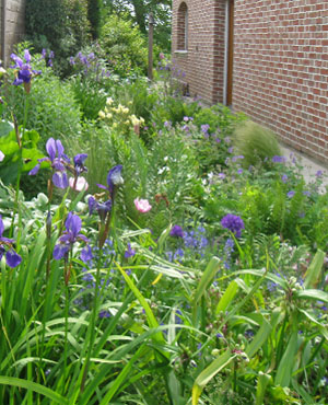 Plants: image 1 0f 4 thumb