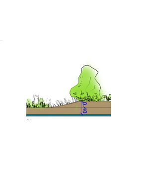 Plants: image 1 0f 4 thumb